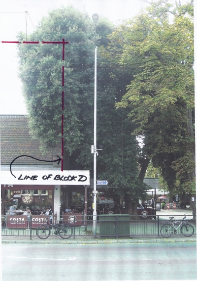 Holm Oak - Block D clash Holm Oak - Block D clash