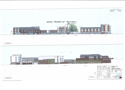 Holm Oak actual position Holm Oak actual position